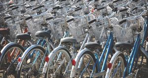 В Иркутске вырос спрос на велосипеды. - Верблюд в огне