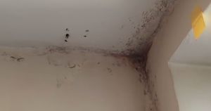 Плесень, тараканы и разруха. Студенты БГУ показали бытовые условия в общежитии - Верблюд в огне