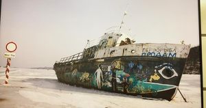 В Иркутской области пройдет международный фестиваль современного искусства «Перворыба» - Верблюд в огне