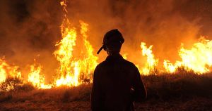 В огне уже более 3 млн га сибирского леса. Почему пожары не тушат и что будет дальше? - Верблюд в огне
