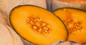 В Иркутске пройдет узбекский праздник дыни «Ковун сайли». - Верблюд в огне