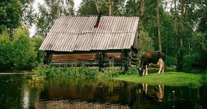 Село в Иркутской области вошло в список самых красивых деревень России - Верблюд в огне