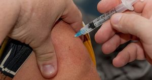 Эксперты назвали вакцинацию лучшим способом профилактики гриппа - Верблюд в огне