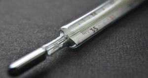 В Кремле начали измерять температуру у всех, кто встречается с президентом - Верблюд в огне