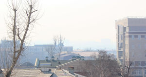 В нескольких районах Иркутска жители пожаловались на запах дыма. В МЧС это объяснили плановым палом травы - Верблюд в огне