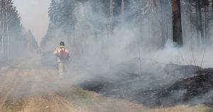Дым от лесных пожаров в Якутии накрыл 39 населённых пунктов на севере Иркутской области - Верблюд в огне