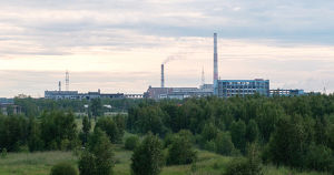 Часть территории «Усольехимпрома» отдадут муниципалитету. Это поможет властям ликвидировать загрязнение - Верблюд в огне