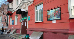 В Иркутске фасады домов украсят картинами местных художников - Верблюд в огне