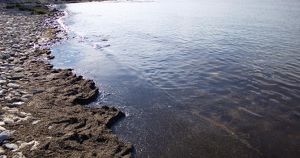 Ученые назвали места на Байкале с самой грязной водой