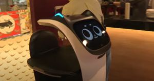 Видео: в иркутском ресторане работает робот-официант