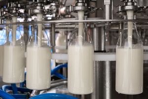 Молоко четырех торговых марок Приангарья претендует на российский Знак качества