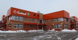 Новый детский сад открылся в Иркутске - Верблюд в огне