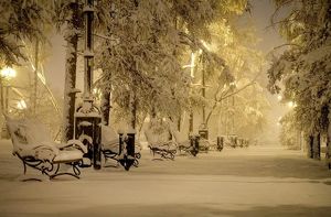Теплая и снежная погода продержится в Иркутске до 12 января - Верблюд в огне