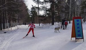 Более 200 различных активностей прошло в Приангарье в Дни зимних видов спорта