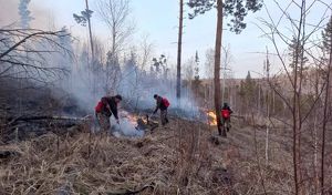 Два первых возгорания в лесах потушили в Приангарье
