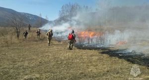 Два уголовных дела возбуждено в Иркутской области против виновников лесных пожаров