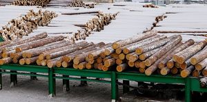 Новое деревообрабатывающее производство появится в Усть-Куте - Верблюд в огне
