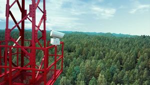 «Лесной дозор»: 38 камер установили для мониторинга лесных пожаров в Приангарье