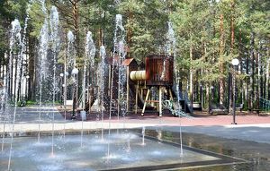 Более 145 тысяч жителей Иркутской области выбрали скверы и парки для благоустройства в 2024 году - Верблюд в огне