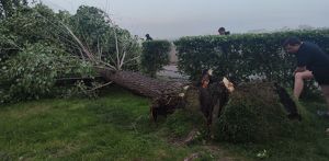 Городские службы устраняют последствия сильного ветра в Иркутске - Верблюд в огне