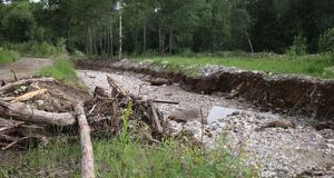 Восстановительные работы в Байкальске планируют завершить до 1 августа - Верблюд в огне