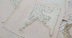 В архиве Иркутской области отреставрировали самую древнюю книгу из фондов - Верблюд в огне