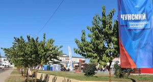 В Иркутской области со следующего года появится первый муниципальный округ - Верблюд в огне