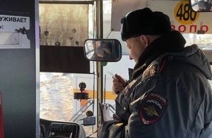 Операция «Автобус» проходит в Иркутске - Верблюд в огне