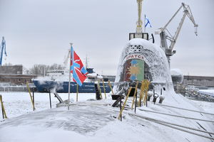 Один из кораблей ВМФ России назовут в честь Братска - Верблюд в огне