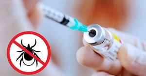 Жители Приангарья могут бесплатно вакцинироваться против клещевого энцефалита