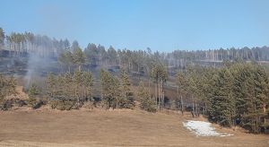 В 24 из 37 лесничеств Иркутской области открыт пожароопасный сезон - Верблюд в огне