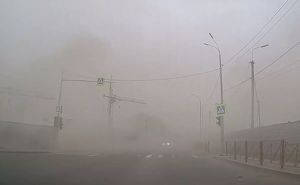 Пыльные бури вновь ожидаются в Иркутской области - Верблюд в огне