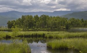 Таловскому озерно-болотному комплексу присвоен статус памятника природы