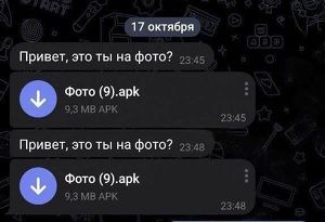 О новой мошеннической схеме в Telegram предупреждают жителей Приангарья