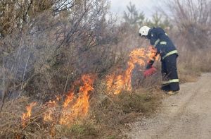 Отжиг сухой травы проведут в Иркутске у ТРЦ «ЯркоМолл» 29 октября - Верблюд в огне