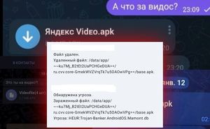 «Это ты на видео?»: жителям Приангарья напомнили о мошеннической схеме в Telegram