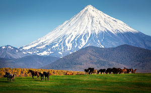 На Камчатку от 18500 рублей: «ИрАэро» запускает рейсы из Иркутска в Петропавловск-Камчатский