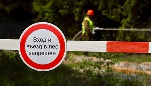 Доступ в леса при высоких классах пожарной опасности ограничат в Приангарье с 20 июня