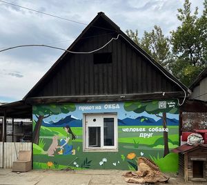 Художница «Голоса улиц» расписала фасад приюта для животных в Ангарске