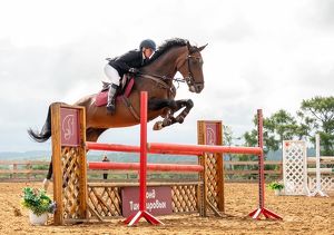 Фонд Тихомировых приглашает зрителей на конные соревнования в Грановщине