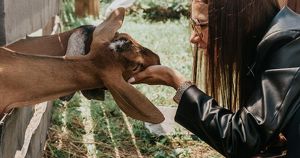 Журналисты и блогеры Приангарья могут получить национальную премию «МедиаПоле»