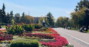 Уборку цветов с городских клумб начали в Иркутске