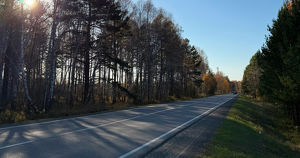 Синоптики прогнозируют дождь и снег в Иркутской области