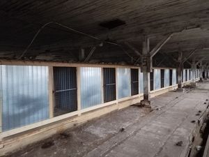 В Усть-Кутском районе откроется первый приют для собак