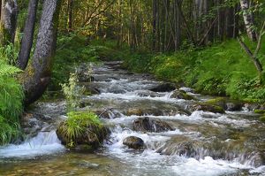 Расчистку русел Харлахты и ручья Красного начнут в Слюдянском районе 15 сентября