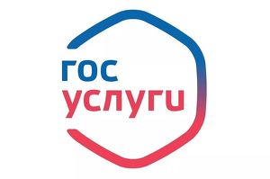 Жители Иркутской области могут получить бесплатную помощь юристов через «Госуслуги» - Верблюд в огне