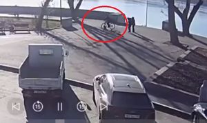 Велосипедист переехал щенка на бульваре Гагарина в Иркутске