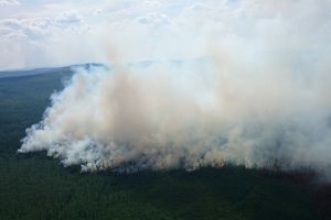 Площадь лесных пожаров в Приангарье сократилась в 7 раз по сравнению с 2024 годом