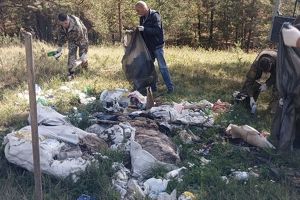 Около 340 кубометров мусора вывезли из лесов Приангарья в сентябре