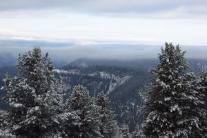 На охрану лесов Приангарья от пожаров направят 3,5 млрд рублей в 2026 году